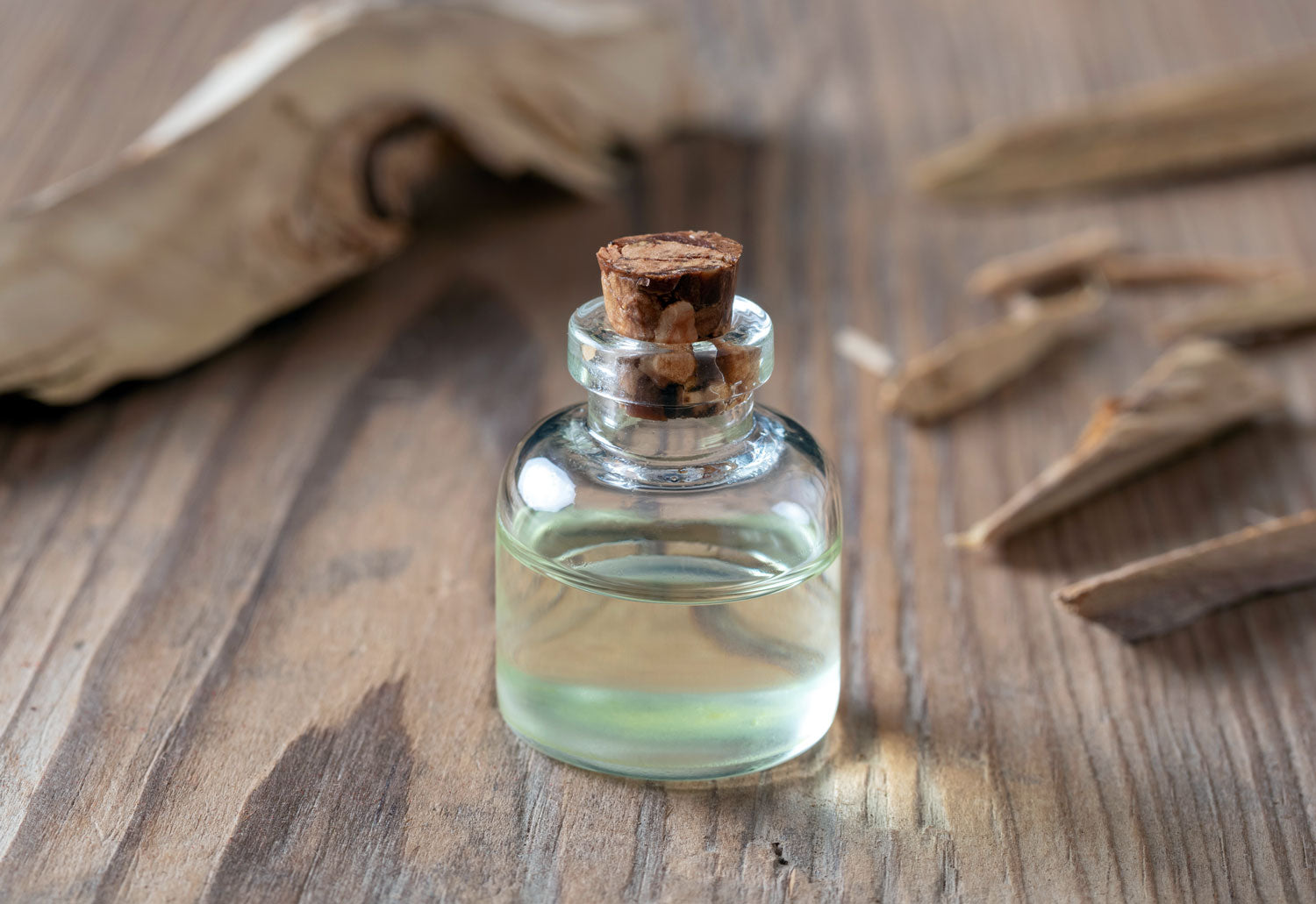 Sandalwood Perfume – The Ultimate Guide